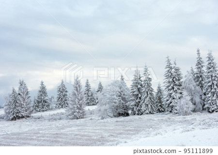 Fairy snowy winter Christmas landscape Fairy snowy winter Christmas landscape 95111899