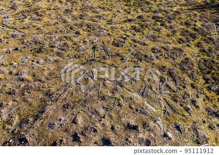 Deforestation aerial drone shot 95111912