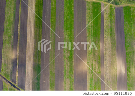 Aerial drone view of agricultural fields of plowed crops Aerial drone view of agricultural fields of plowed crops 95111950