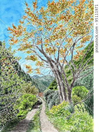 Autumn cherry blossoms with colored leaves Autumn cherry blossoms with colored leaves 95111971