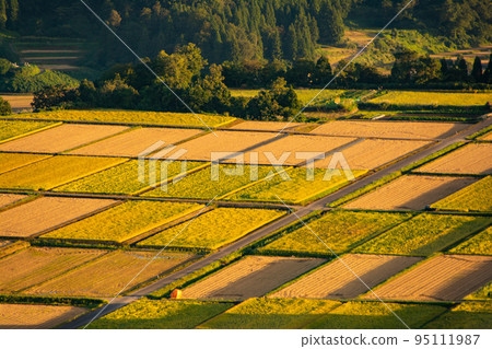 Rural scenery shining golden (photographed by Yamamotoyama Plateau, Ojiya City, Niigata Prefecture) Rural scenery shining golden (photographed by Yamamotoyama Plateau, Ojiya City, Niigata Prefecture) 95111987