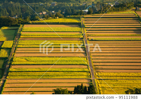 金燦燦的田園風光(新潟縣小島市山本山高原拍攝) 金燦燦的田園風光(新潟縣小島市山本山高原拍攝) 95111988