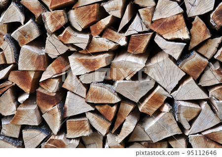Firewood stacked in wood shed 95112646