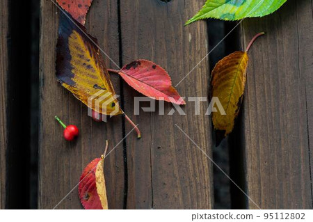 Autumn: Colored leaves falling on the bench Autumn: Colored leaves falling on the bench 95112802