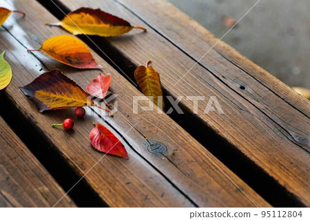 秋天：落在長凳上的彩色葉子 95112804
