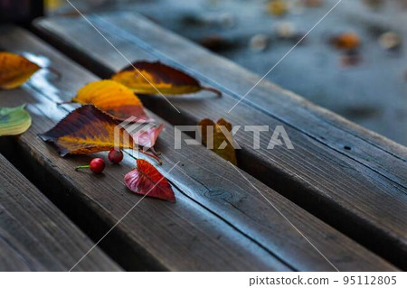 Autumn: Colored leaves falling on the bench Autumn: Colored leaves falling on the bench 95112805