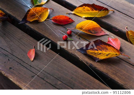 秋天：落在長凳上的彩色葉子 95112806