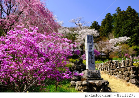 琉州院的春景 琉州院的春景 95113273