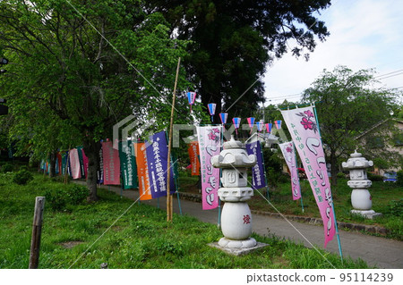 東京青梅市鹽船觀音寺的杜鵑花節 95114239