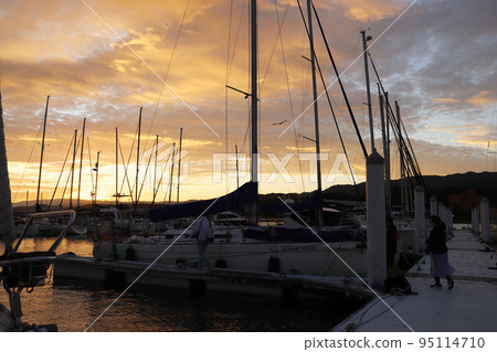 yacht harbor at sunrise 95114710
