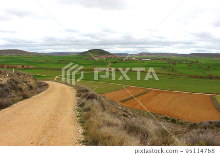 Endless road, Camino (pilgrimage to Santiago) Endless road, Camino (pilgrimage to Santiago) 95114768