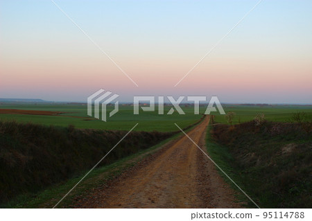 Endless road, Camino (pilgrimage to Santiago) 95114788
