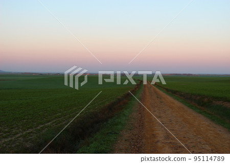 Endless road, Camino (pilgrimage to Santiago) Endless road, Camino (pilgrimage to Santiago) 95114789