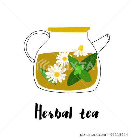 Illustration of a glass teapot with herbal Illustration of a glass teapot with herbal 95115424