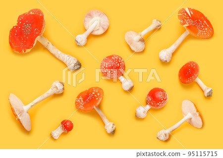 Amanita muscaria fly agaric poisonous hallucinogenic forest mushrooms pattern on yellow background Amanita muscaria fly agaric poisonous hallucinogenic forest mushrooms pattern on yellow background 95115715