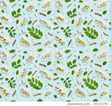 Seamless floral pattern of blooming white Robinia pseudoacacia or black locust false acacia 95115743