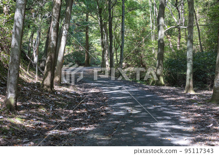 茨城縣日立市小木山自然公園 茨城縣日立市小木山自然公園 95117343