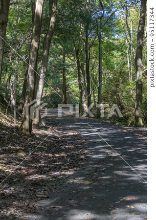 茨城縣日立市小木山自然公園 95117344