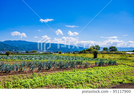 Ina valley in autumn, from the Minowa town countryside to the city Ina valley in autumn, from the Minowa town countryside to the city 95117900