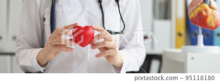 Woman doctor holding a plastic model of the heart 95118180