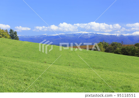Hokkaido grasslands and snow-capped mountains 95118551
