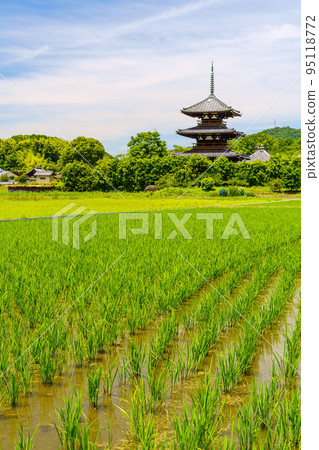 [Nara Prefecture] Hokiji Temple, Ikoma District 95118772