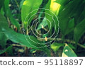 A spider's web that swirls skillfully 95118897