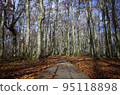Fallen leaves piled up on the wooden path of Ougi-no-yama in autumn 95118898