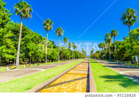 東京潮風公園的風景 東京潮風公園的風景 95118928