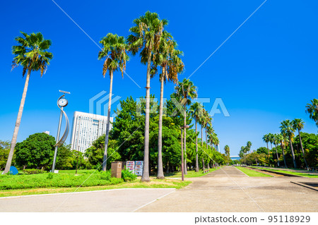 東京潮風公園的風景 東京潮風公園的風景 95118929