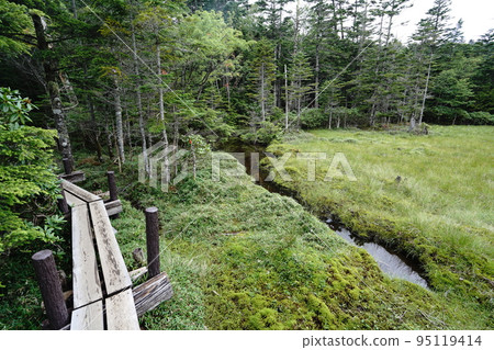 From Shirakoma Pond in Nagano Prefecture to Shirakoma Marsh. Near the crossing of the marsh.　August 5, 2022 95119414