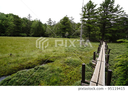 From Shirakoma Pond in Nagano Prefecture to Shirakoma Marsh. Looking back at the marsh from near the end of the marsh.　August 5, 2022 95119415