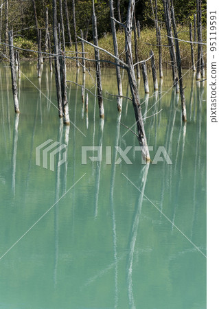 Biei Hokkaido的美瑛池塘 95119591