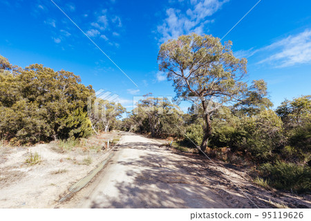 Skeleton Bay Walk in Tasmania Australia 95119626