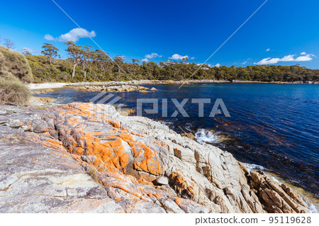 Skeleton Bay Walk in Tasmania Australia 95119628