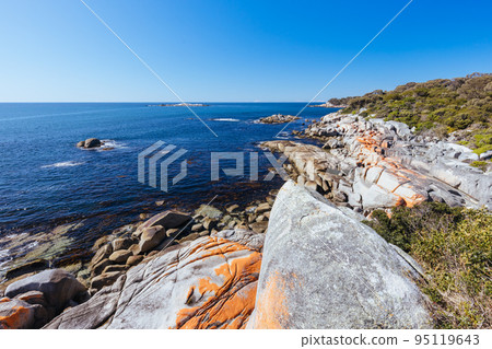 Skeleton Bay Walk in Tasmania Australia 95119643