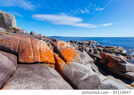 Skeleton Bay Walk in Tasmania Australia 95119647