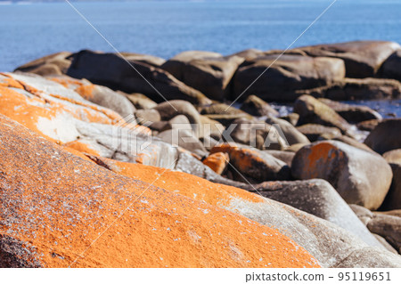 Skeleton Bay Walk in Tasmania Australia 95119651