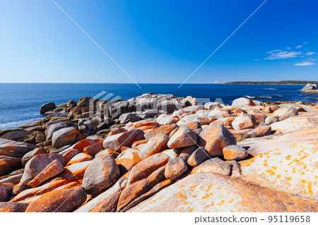Skeleton Bay Walk in Tasmania Australia 95119658