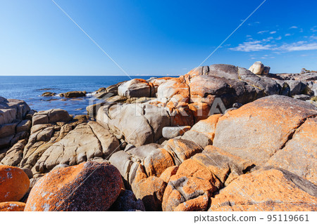 Skeleton Bay Walk in Tasmania Australia 95119661