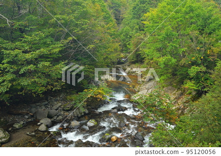 [Gunma Prefecture] Teruhakyo Recreation Forest 95120056
