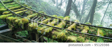 Taiping Mountain Jianqing Ancient Trail Taiping Mountain Jianqing Ancient Trail 95120366