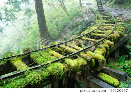 太平山 見晴古道 見晴懷古步道 小徑 Jianqing trail Taipingshan 太平山 見晴古道 見晴懷古步道 小徑 Jianqing trail Taipingshan 95120367