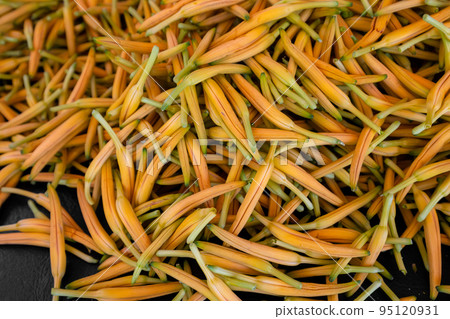 Dry orange day lily flower harvest in the farm 95120931