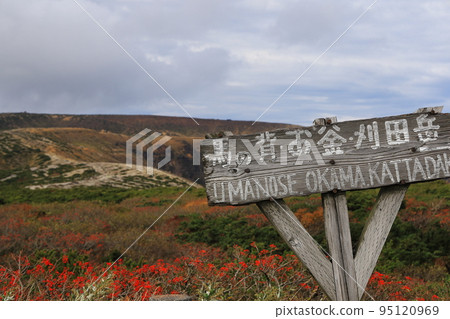 藏王山頂景觀岡間山形 藏王山頂景觀岡間山形 95120969