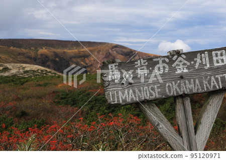 藏王山頂景觀岡間山形 藏王山頂景觀岡間山形 95120971