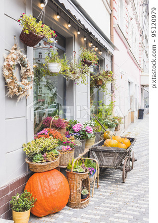 Big orange pumpkin in front of the flower shop. Halloween and Thanksgiving autumn decoration with flowers in trendy rattan baskets Big orange pumpkin in front of the flower shop. Halloween and Thanksgiving autumn decoration with flowers in trendy rattan baskets 95120979