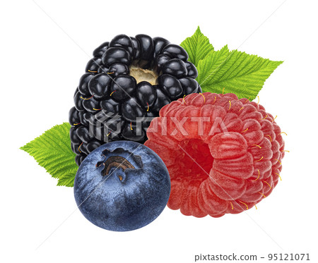Berries mix. Blueberry, raspberry and blackberry isolated on white background Berries mix. Blueberry, raspberry and blackberry isolated on white background 95121071