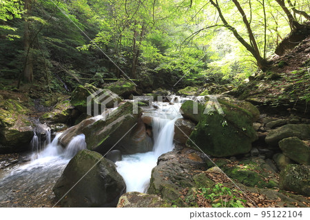 那須鹽原市蘇坎沼澤/栃木縣的未開發地區 95122104