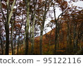Autumn at Mt. Houki, trees with red leaves 95122116
